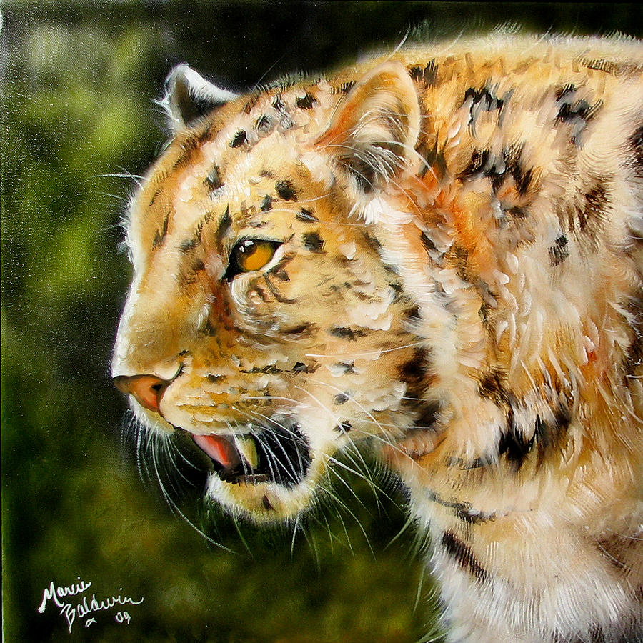 Leopard Painting by Marcia Baldwin
