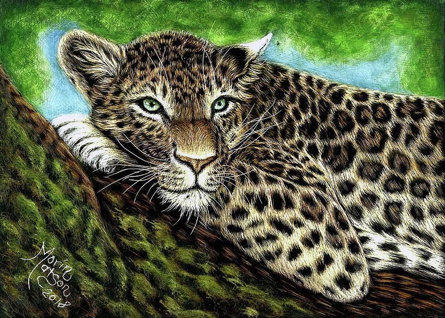 Leopard by Monique Morin Matson Leopard by Monique Morin Matson
