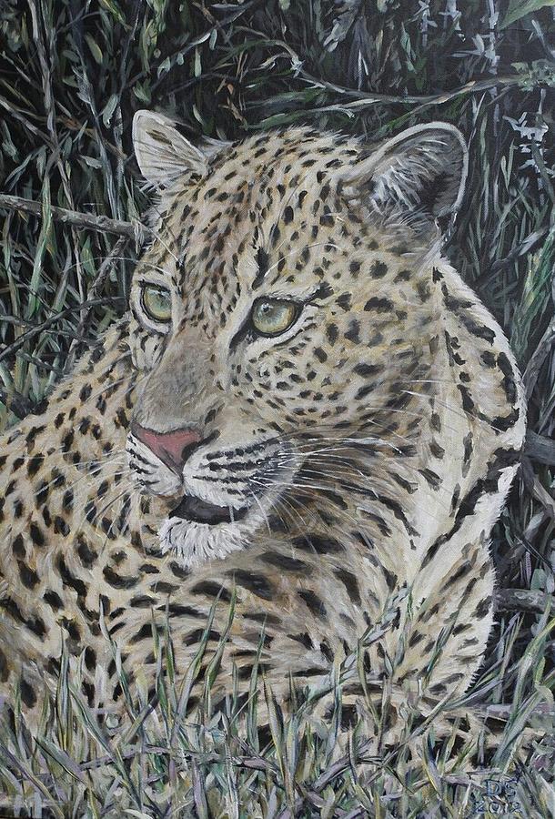 Wildlife Painting - Leopard portrait by Duncan Sawyer
