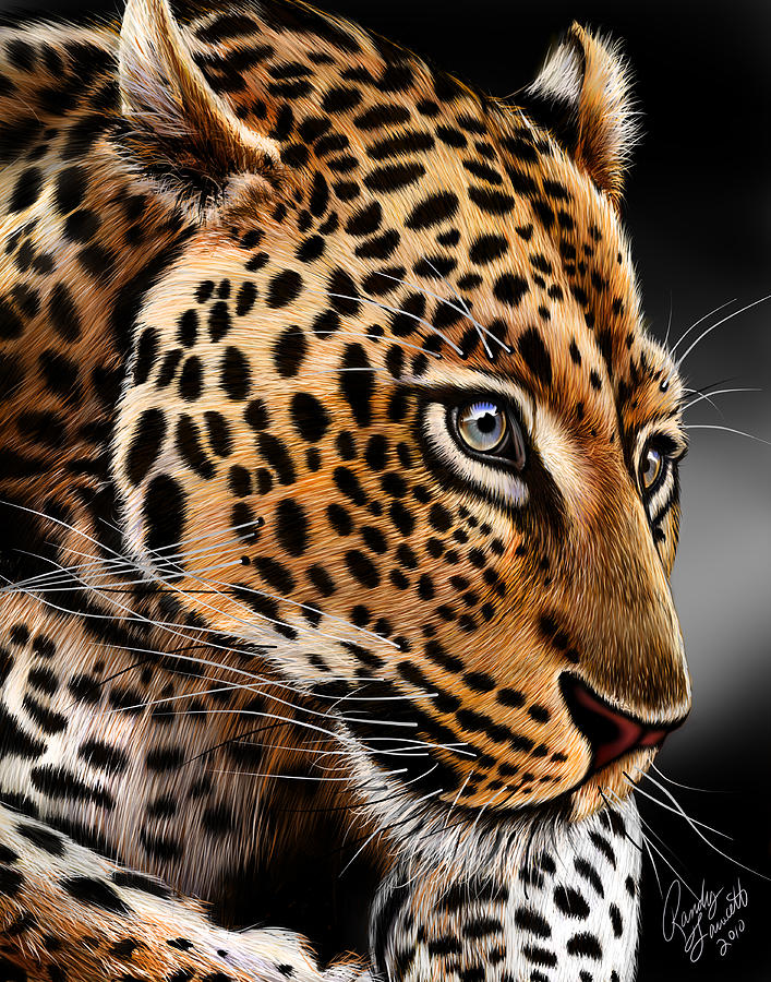 Leopard Digital Art by Randy Fawcett - Fine Art America