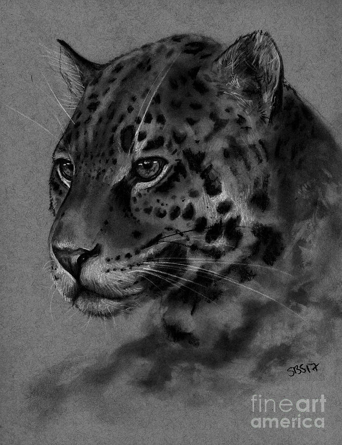 Leopard Drawing by Samantha Strong