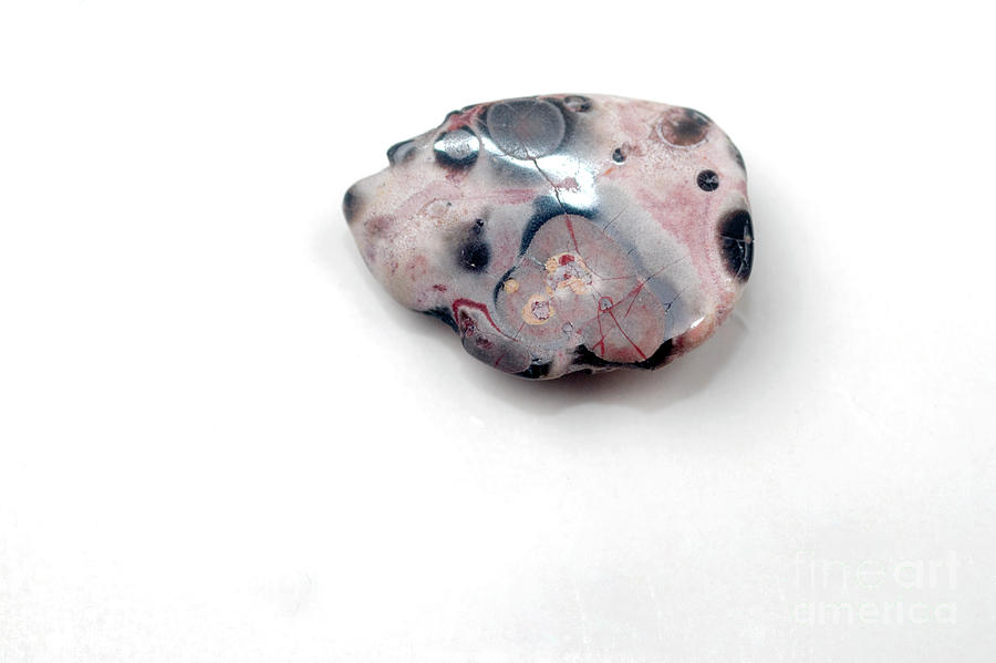 Leopard Skin gemstone  Photograph by Ilan Rosen