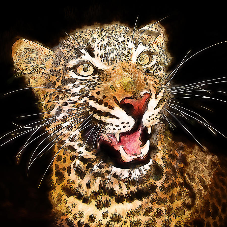 leopard snarl