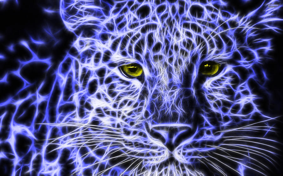 Leopard Digital Art by Soumya Ranjan Patel - Fine Art America