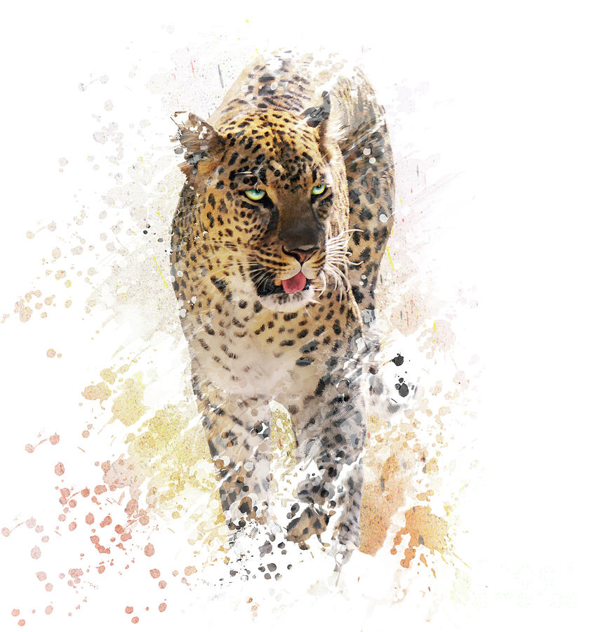 Leopard Watercolor Digital Art by Svetlana Foote - Fine Art America
