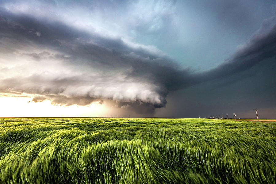 Leotis Masterpiece - Incredible Storm And Waving Wheat In Western Kansas Photograph