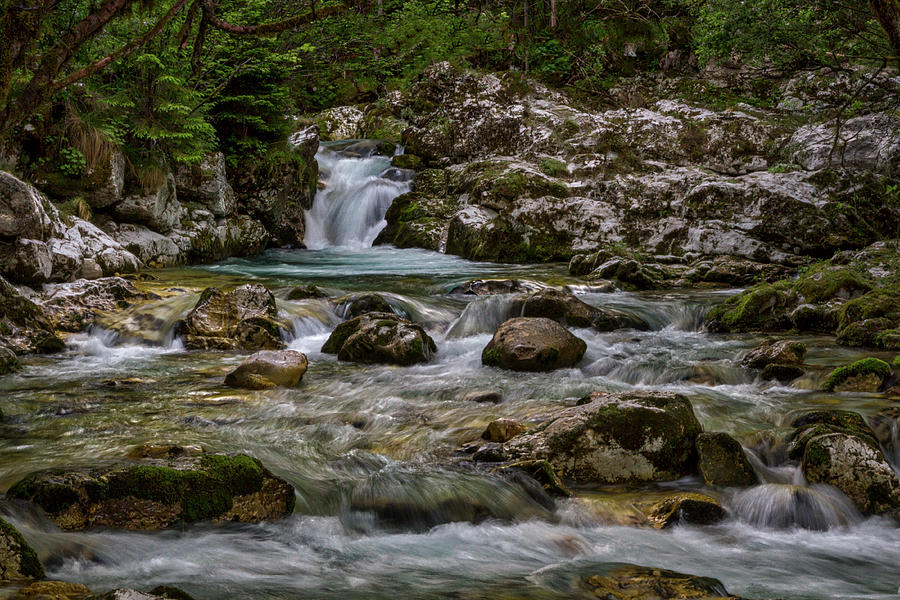Lepenjica River - Slovenia Photograph by Stuart Litoff