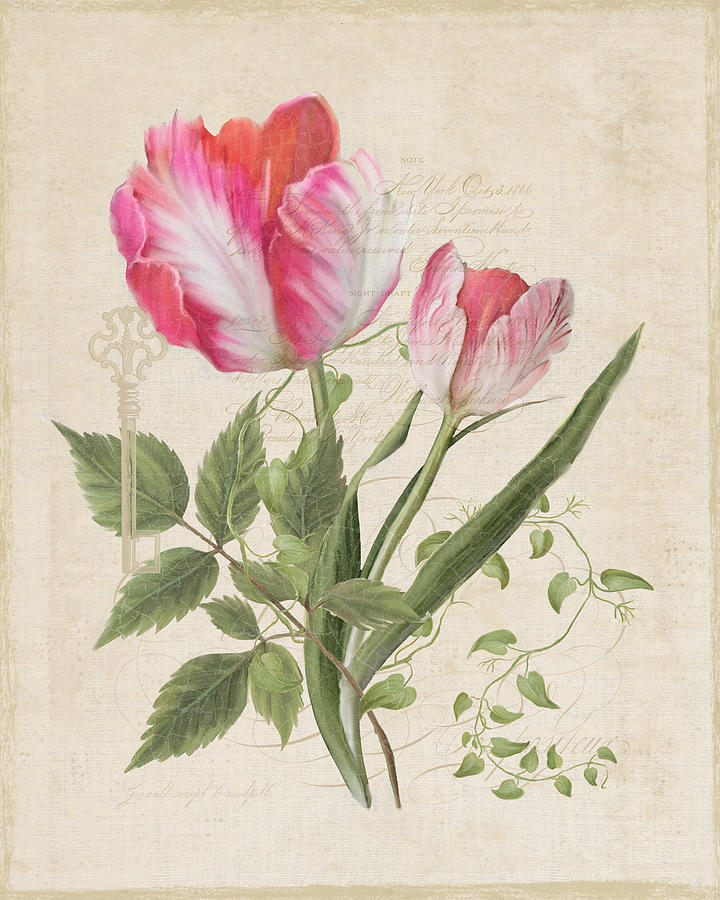 Les Fleurs Magnifiques Sur Parchemin - Parrot Tulips Vintage Style Painting by Audrey Jeanne Roberts