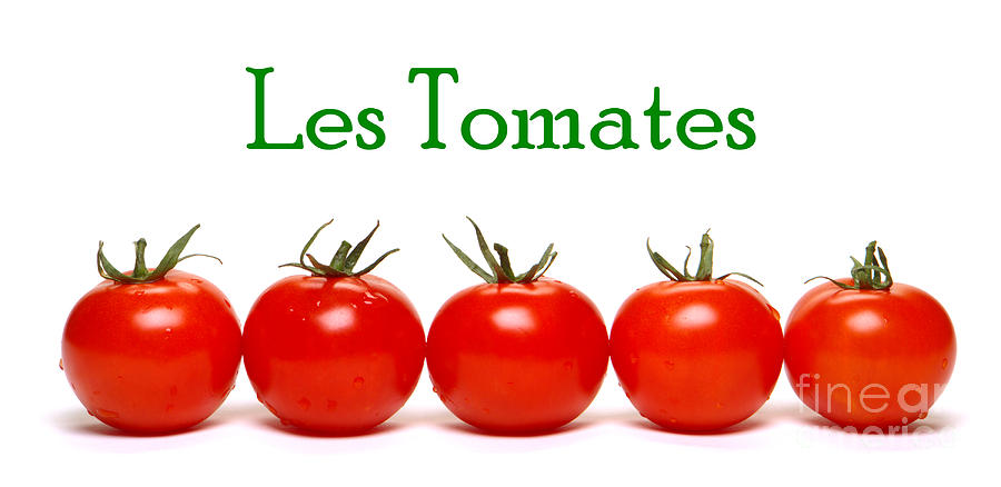Unique Photograph - Les Tomates by Olivier Le Queinec