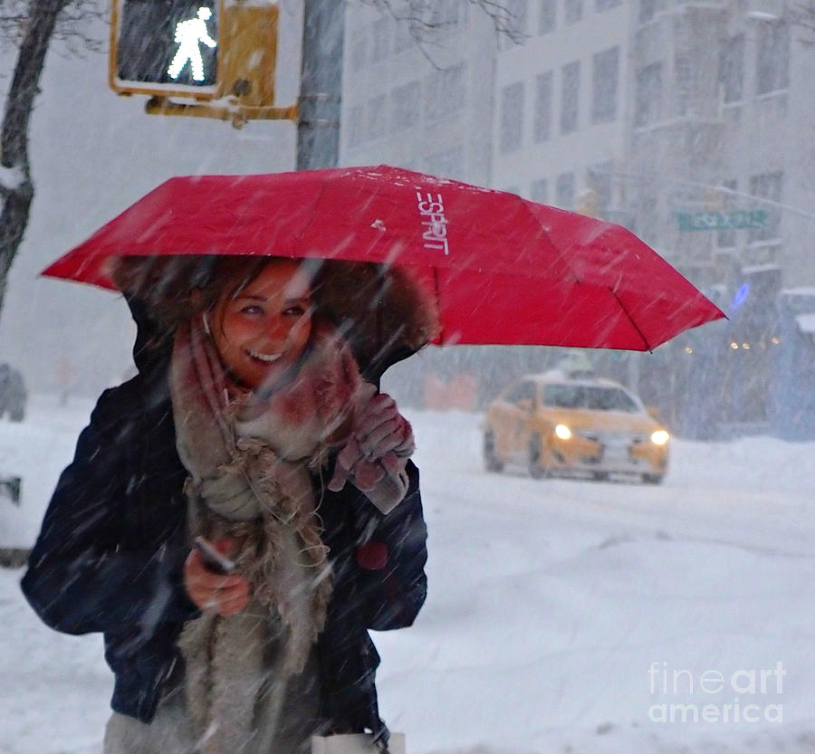 L Esprit de New York - Winter in New York Photograph by Miriam Danar