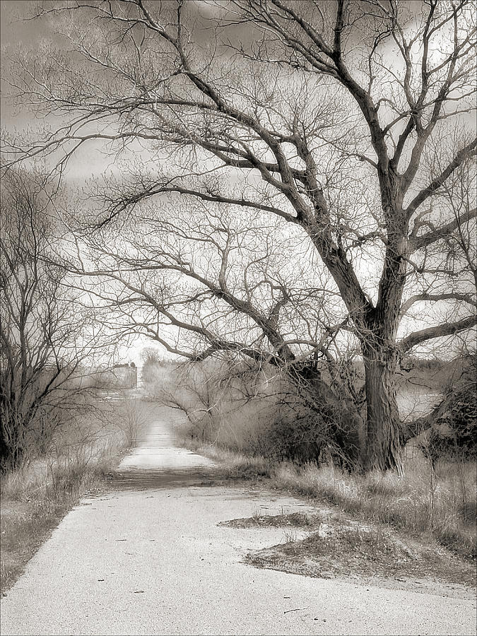 Less Traveled Photograph by John Anderson