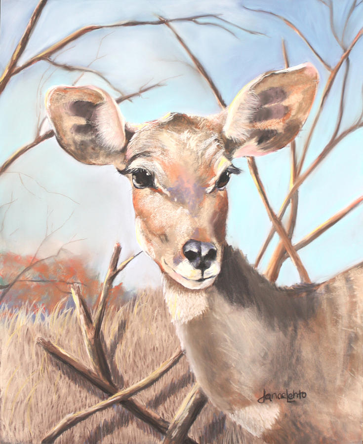 Lesser Kudu Painting by Janae Lehto