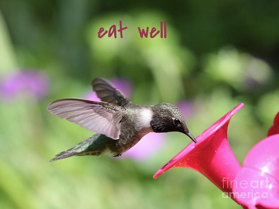 Lessons from Nature - Eat Well Photograph by Carol Groenen