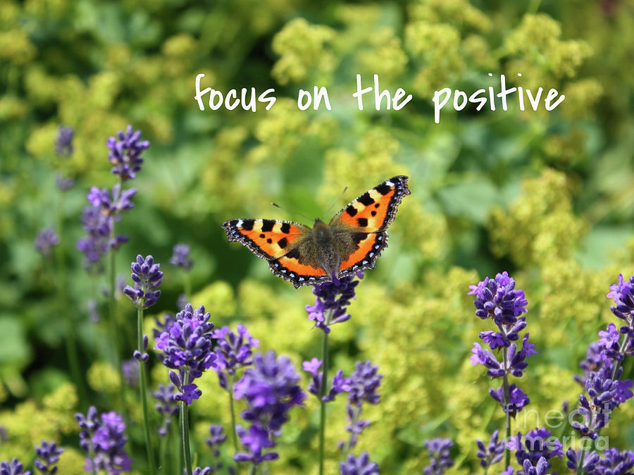 Lessons from Nature - Focus on the Positive Photograph by Carol Groenen