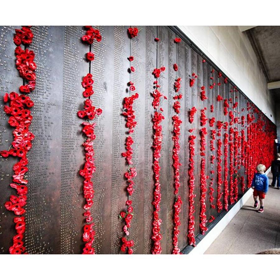 Anzacday Photograph - Lest We Forget. #anzacday by Mik Rowlands