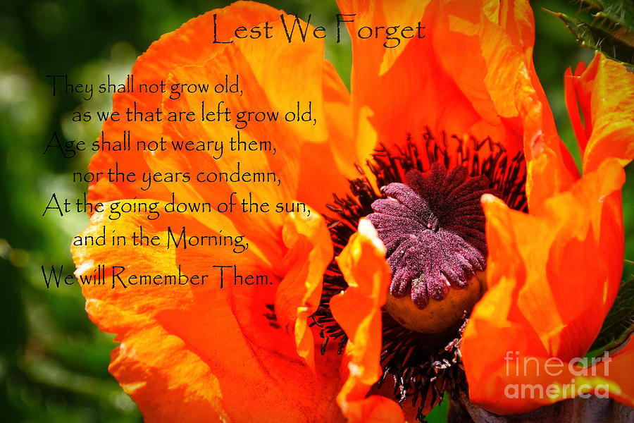 Lest We Forget Photograph by Wendy Elliott - Fine Art America