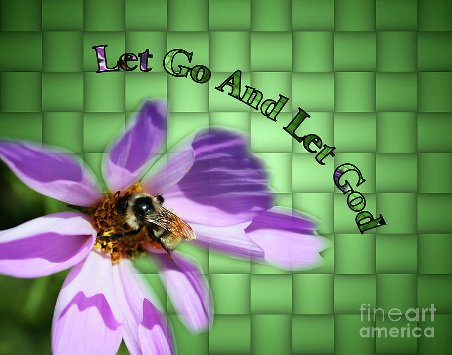 Let Go Inspirational Bee On Flower Photograph by Smilin Eyes Treasures