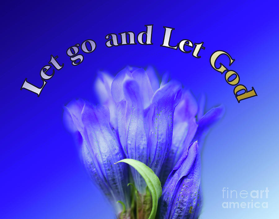 Let Go Inspirational Blue Gentian Flower Photograph by Smilin Eyes Treasures