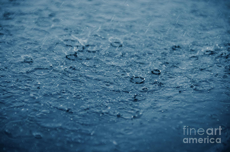 Let It Rain Abstract / Nature Photograph Photograph by PIPA Fine Art - Simply Solid