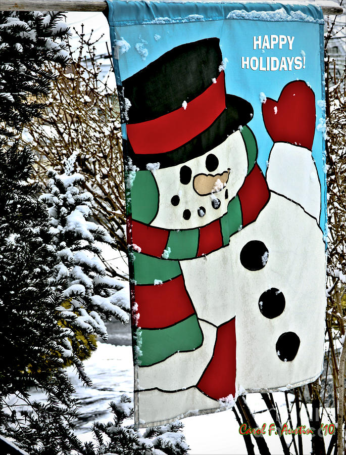 Let it Snow - Happy Holidays Photograph by Carol F Austin