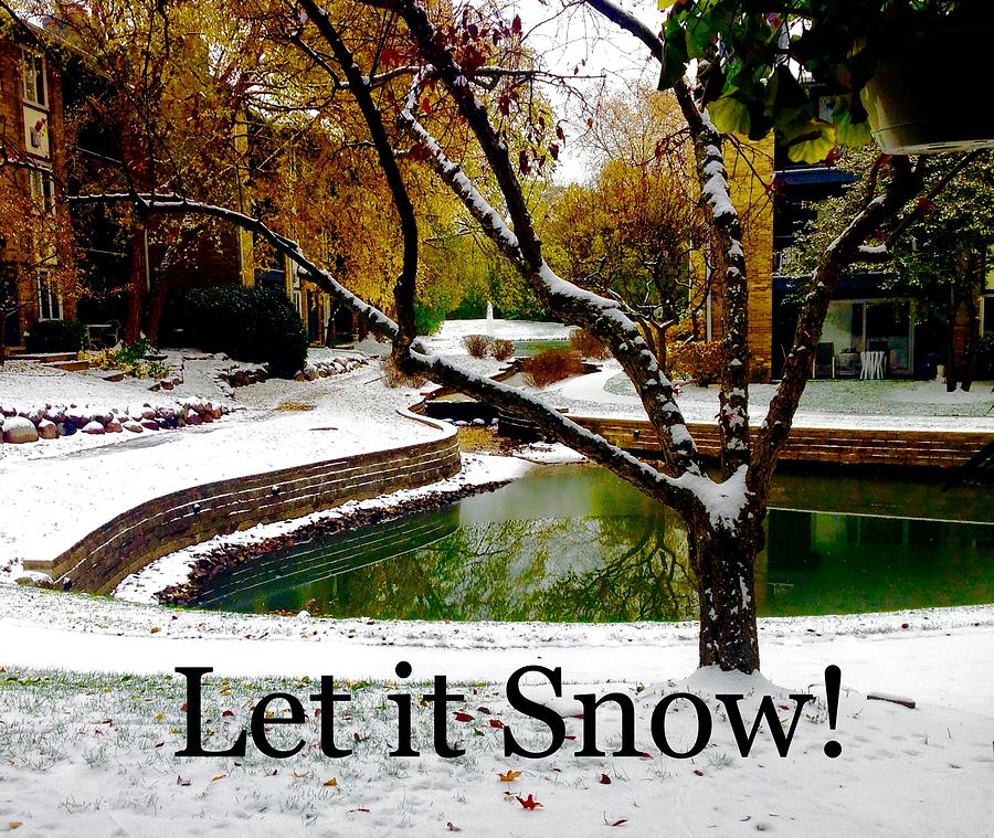 Let It Snow Photograph