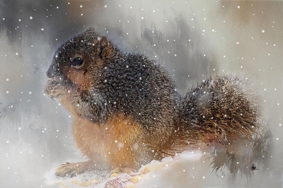 Wildlife Photograph - Let It Snow by Theresa Campbell