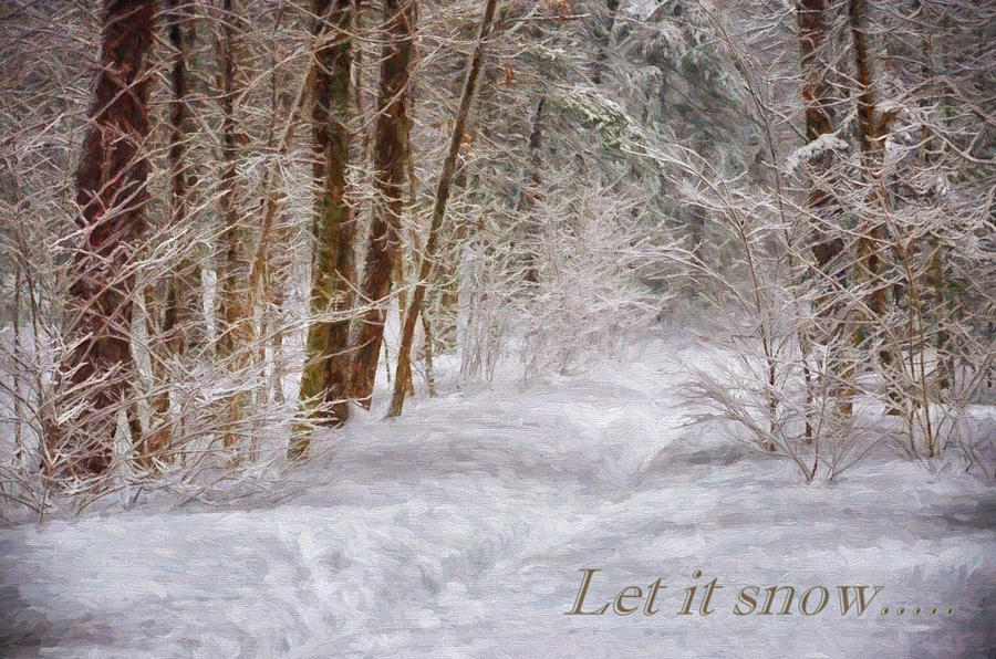 Let It Snow Photograph by Tricia Marchlik