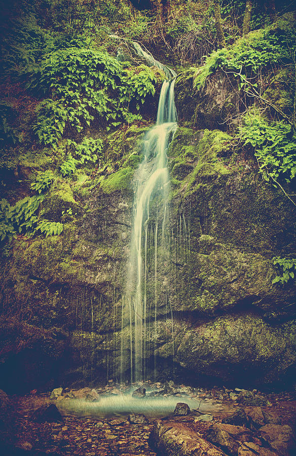 Waterfall Photograph - Let Me Live Again by Laurie Search