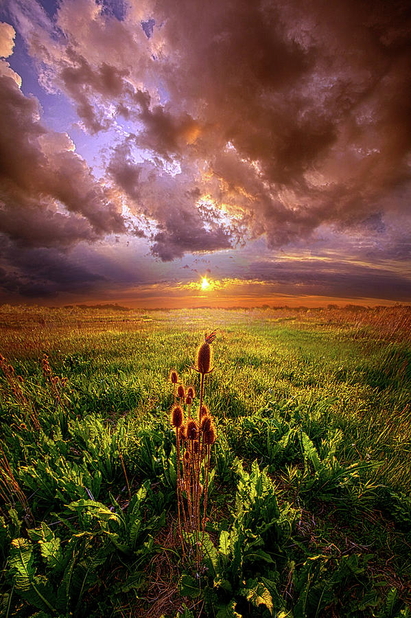 Let Me Not Wander Photograph by Phil Koch