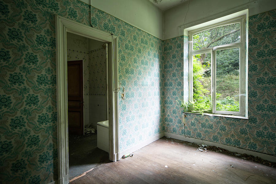 Let nature in - abandoned buildings Photograph by Dirk Ercken