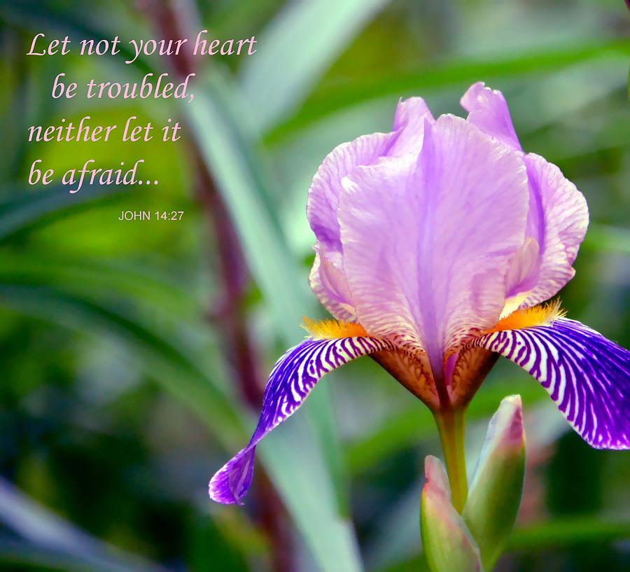 Nature Photograph - Let Not Your Heart Be Troubled by Deena Stoddard