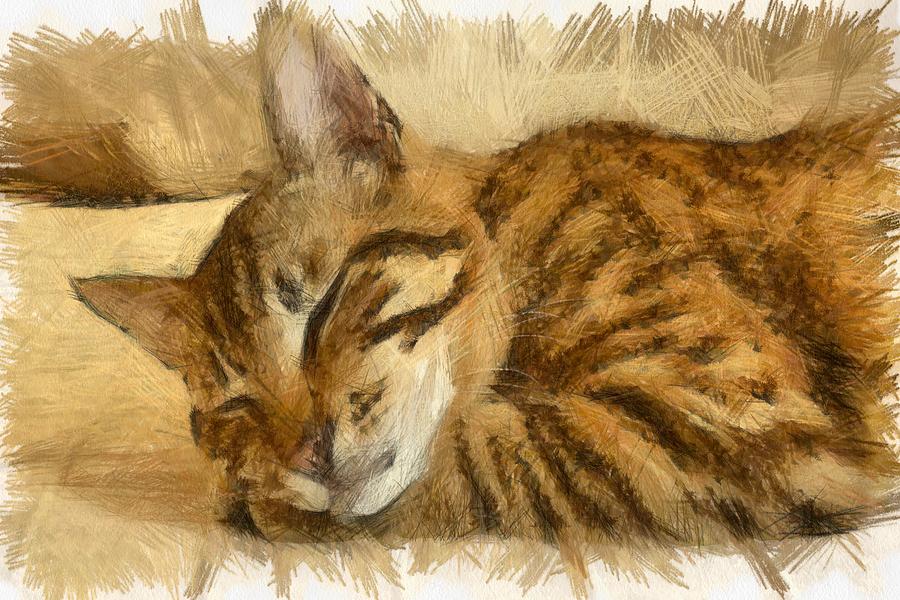 Let Sleeping Cats Lie Drawing by Taiche Acrylic Art