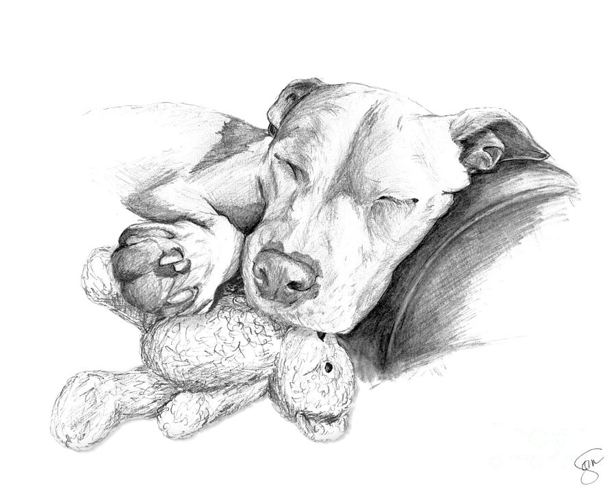 Dog Digital Art - Let Sleeping Dogs Lie by Creative Solutions RipdNTorn