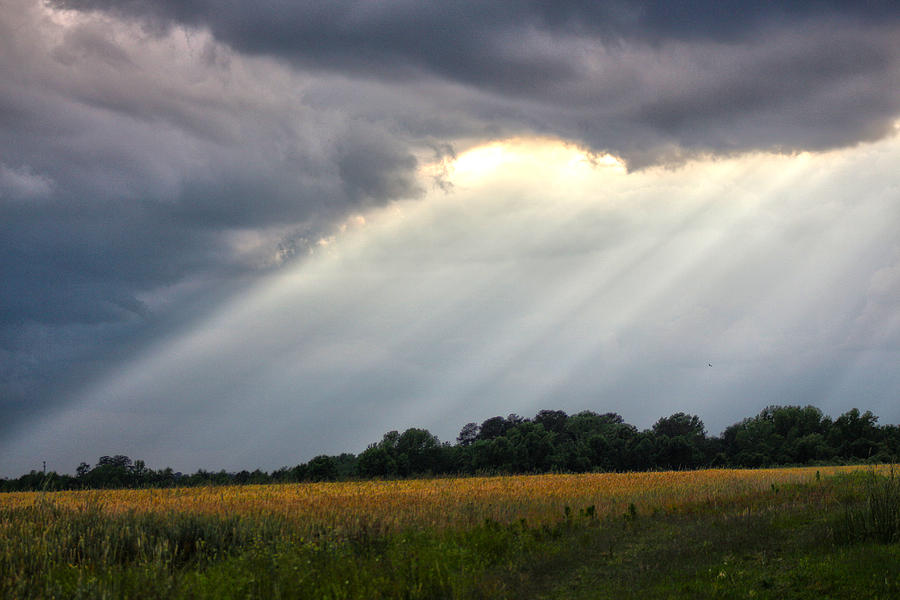 Let The Light Shine Through Photograph By Debbie Sykes - Fine Art America