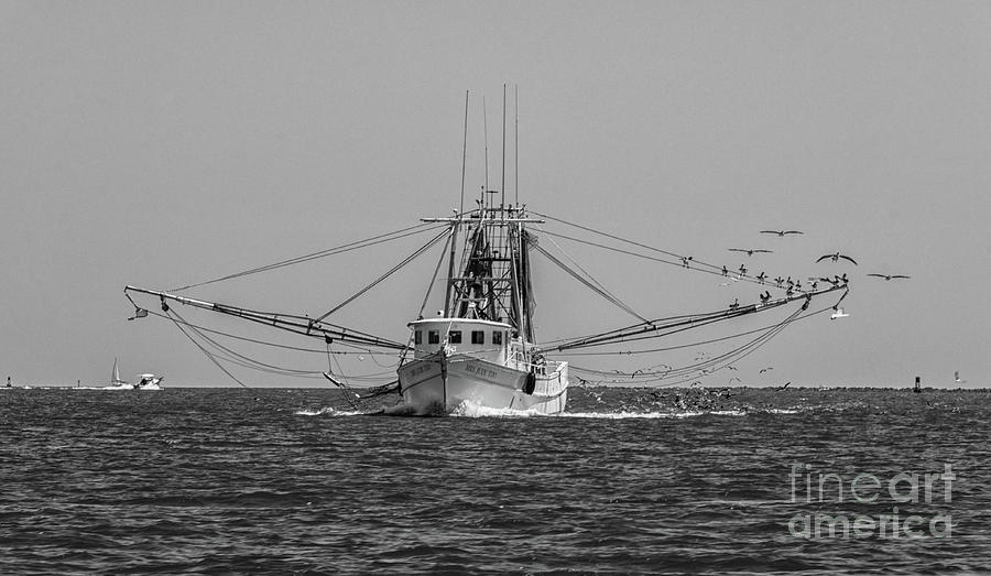 Let the Shrimping Season Begin Photograph by Dale Powell
