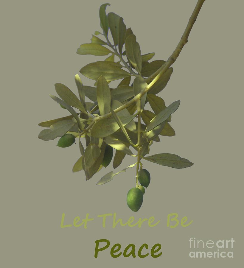 Let there be peace olive branch and text  Photograph by Ilan Rosen