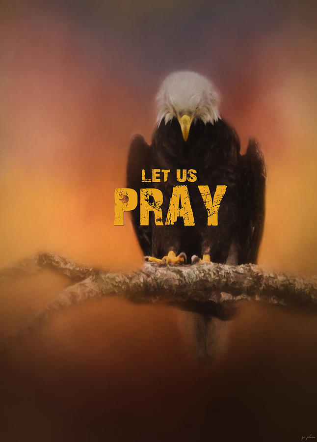 Let Us Pray - Bald Eagle Art Photograph by Jai Johnson