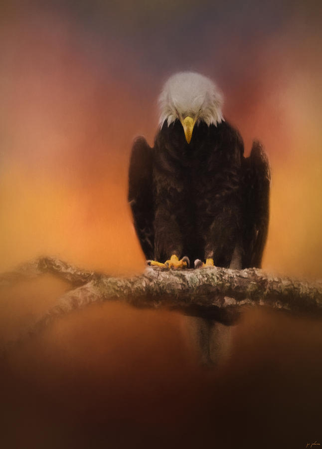 Bird Photograph - Let Us Pray by Jai Johnson