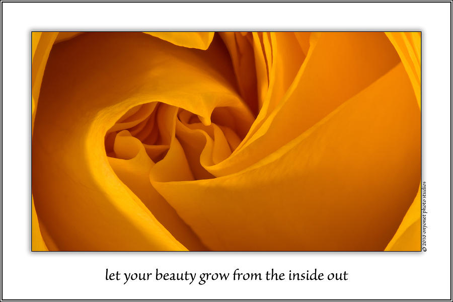 Rose Photograph - Let Your Beauty Grow From The Inside Out by Onyonet Photo studios