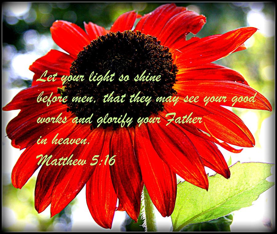 Sunflower Photograph - Let Your Light So Shine by Robert Babler Sunflower Photograph - Let Your Light So Shine by Robert Babler