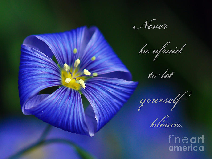 Inspirational Photograph - Let Yourself Bloom by Kerri Farley