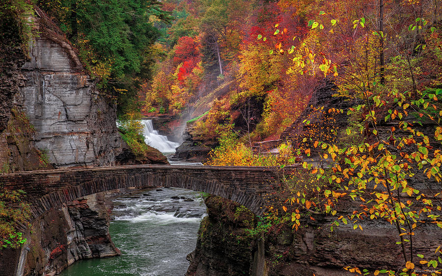 Nature Photograph - Letchworth Lower Falls by Mark Papke