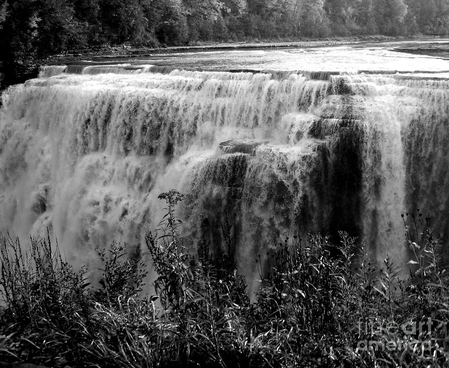 Letchworth State Park Middle Falls in Black and White Photograph by Rose Santuci-Sofranko