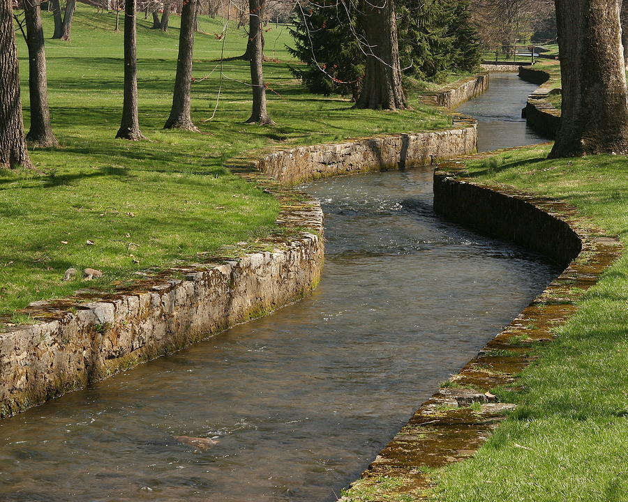 LeTort Spring Run Photograph by Jean Macaluso