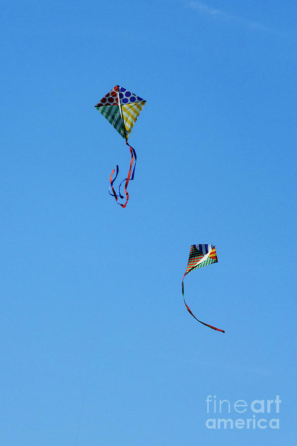 Lets Fly Away Photograph by Debra Fedchin