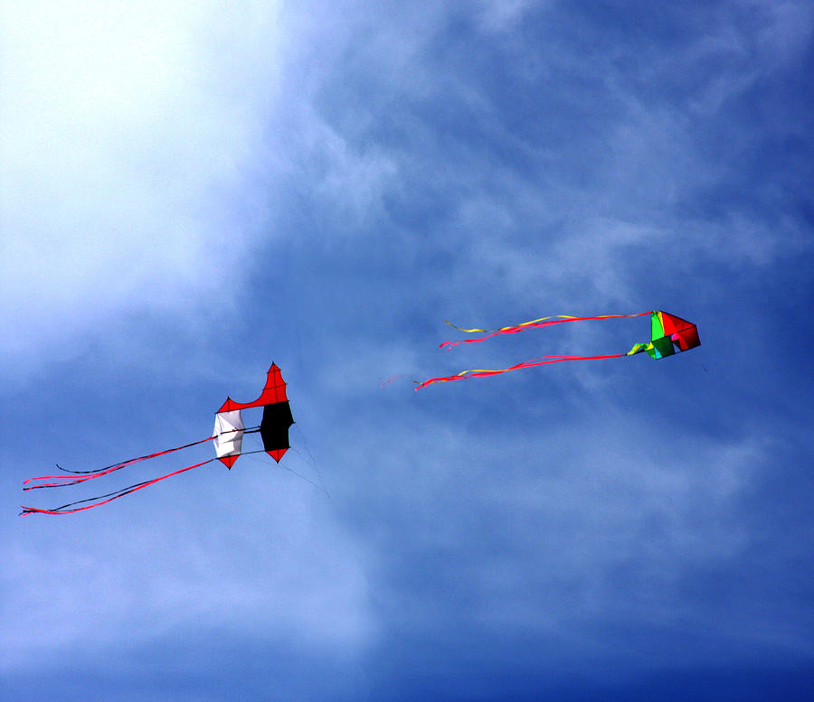 Lets Go Fly 2 Kites Photograph by Marie Jamieson