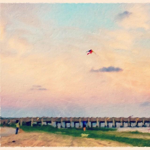 Beach Photograph - Lets Go Fly A Kite  by Joan McCool