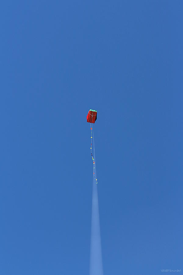 Lets Go Fly A Kite Photograph