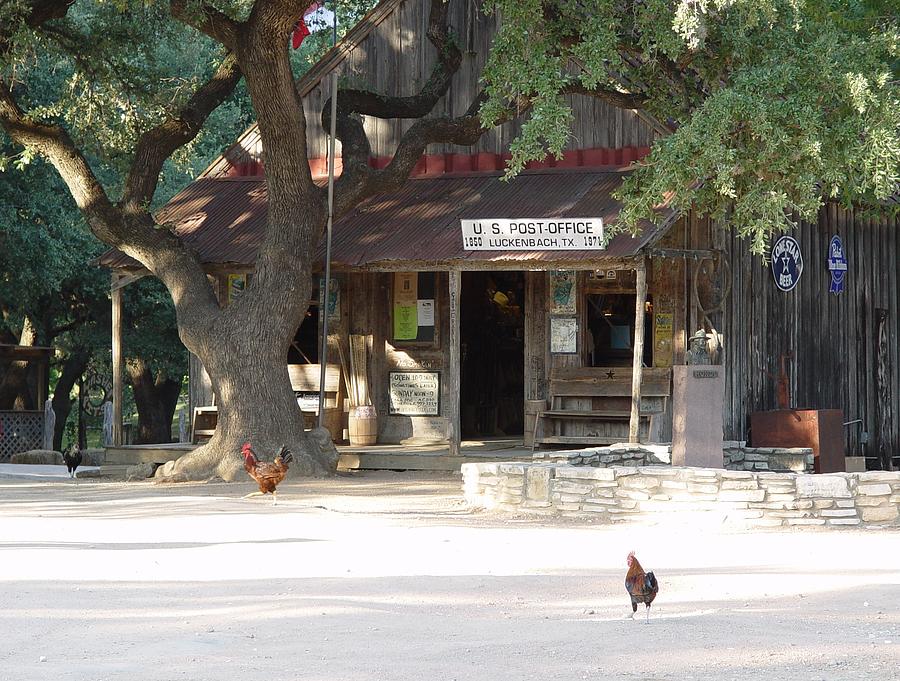 Rooster Photograph - Lets Go To Luckenbach Texas by Elizabeth Sullivan