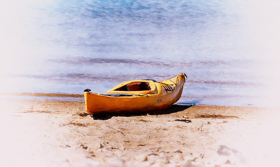 Lets Kayak Photograph by Tricia Marchlik